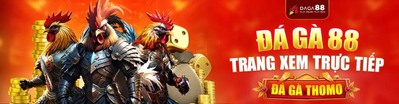 Tin tức và ưu đãi 79king khuyến mãi